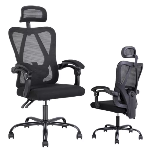 Ergonomic Office Chair High Back Computer Chair with Adjustable Lumbar Support