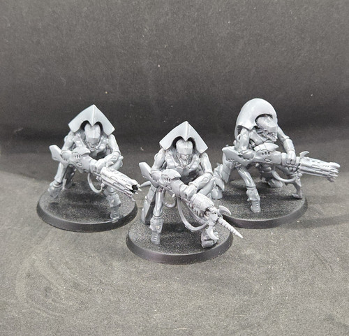 Warhammer 40k Aeldari Guardians - Boxed Warhammer 11 Miniatures