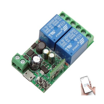 DieseRC 2 Channels WiFi Smart Switch, DC 5V 12V 24V 36V Passive Out... Fast Ship