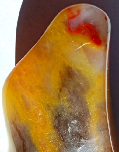 Membre fossile en bois pétrifié coulé jaune chat Utah VIOLET amithyste orange wispQuartz - Photo 1/12