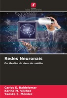 Redes Neuronais Em GestãO Do Risco De CréDito Carlos E. Baldelomar (U. A.) Buch