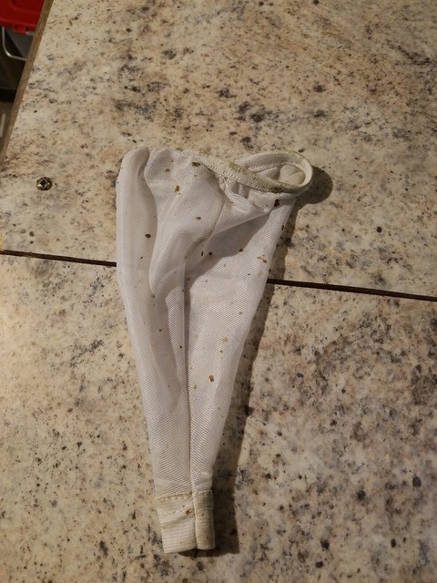 water tech pool blaster pulse