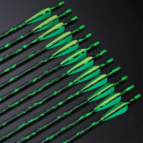 30" Carbonpfeile SP500 für Compound/Recurve Bogen Jagd 100Grain Jagdpfeilspitzen - Bild 12 von 16