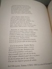 Foto 16 di 17