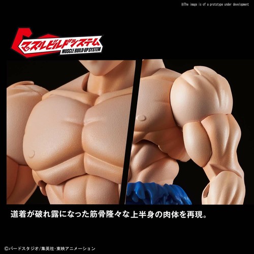 Bandai Dragon Ball Figure-Rise Standard SON GOKOU (ULTRA INSTINCT) - Picture 6 of 7