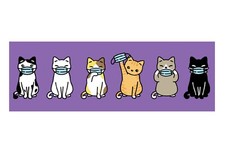 Cats w/ Face Masks Vinyl Bumper Sticker Waterproof By Execucat