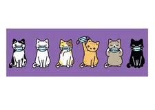 Cats w/ Face Masks Vinyl Bumper Sticker Waterproof By Execucat