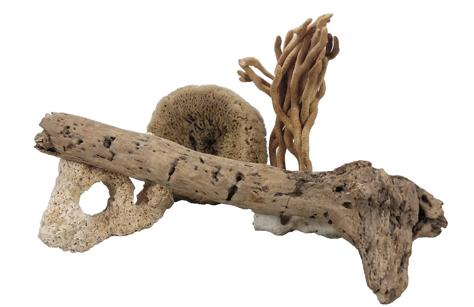 "Escultura de madera a la deriva natural 24"" arte de reptiles de acuario decoración de pecera" Foto 2 de 4