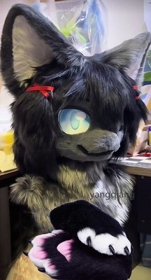Fursuit Long Fur Husky Fox Mascot Head Party Halloween Fur Cosplay-Promotion