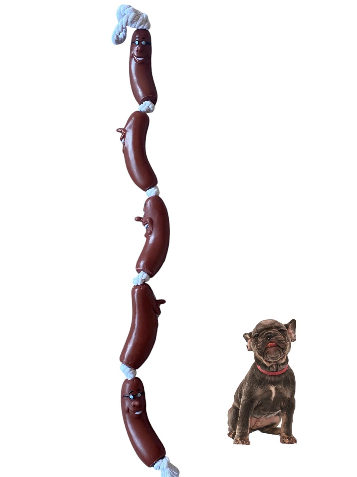 5 Piece Sausage Dog Rope Toy for Dogs and - Durable and Fun Design