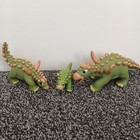 Bild 98 von 129