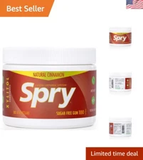 Aspartame-Free Xylitol Gum with Cinnamon Flavor - 100 Count for Healthy Teeth