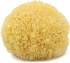 Natural Sea Sponge Bath-Shower Large 1 Count By Bass Brushes Natural Sea Sponge