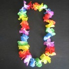 Bild 4 von 12
