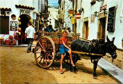 Ansichtskarte>>Tossa De Mar, El Repartidor De Refrescos, Eselskarre