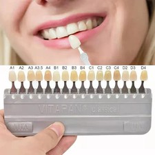 VITA Classical Shade Guide A1-D4 with 16 Natural Tooth Colors VITAPAN