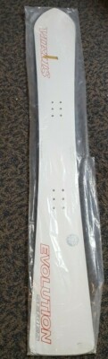 NEW VIRUS TANTALUS EVO 175 ALPINE SNOWBOARD CUSTOM MADE
