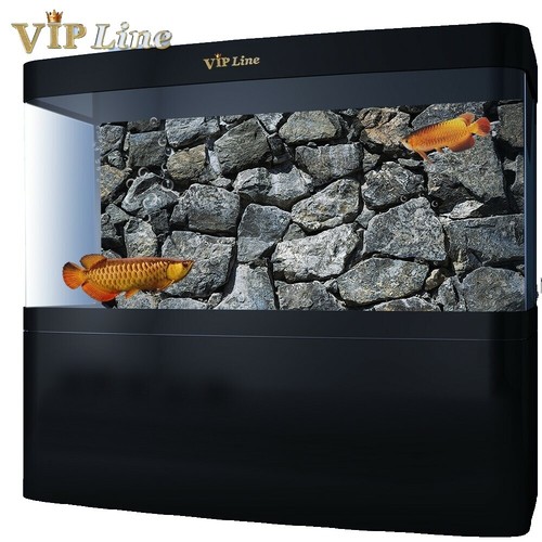 ZooPaul 3D Aquarium Rückwand 120x60cm - Naturgetreue Felsendekoration