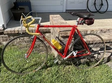 1984 MASI GRAN CRITERIUM Vintage Red & Yellow Bike M55. GP4  & MA40 Tires.