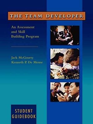 The Team Developer: An - Paperback, by McGourty Jack; DeMeuse - Very Good