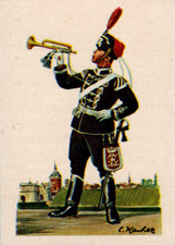 8/1001 SAMMELBILD LEIBHUSAREN