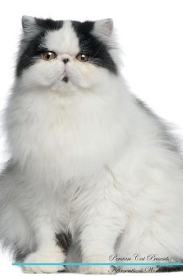 Persian Cat Affirmations Workbook Persian Cat Presents - 9781526973160