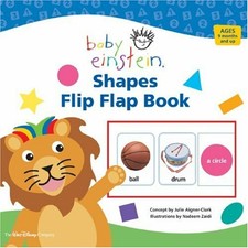 baby einstein flip for art
