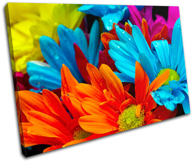 Flowers Blossom Floral Rainbow Canvas Artwork Picture Print Wall Hanging Photo
