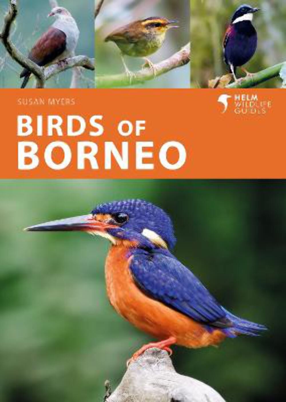 Susan Myers: Birds of Borneo (Helm Wildlife Guides) [2022] paperback