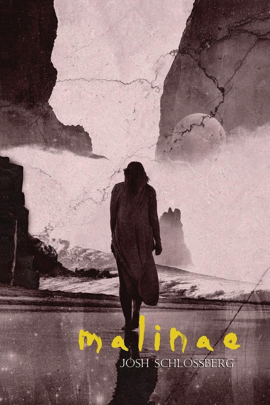 Thumbnail - Malinae Josh Schlossberg Taschenbuch Paperback Englisch 2021 D&t
