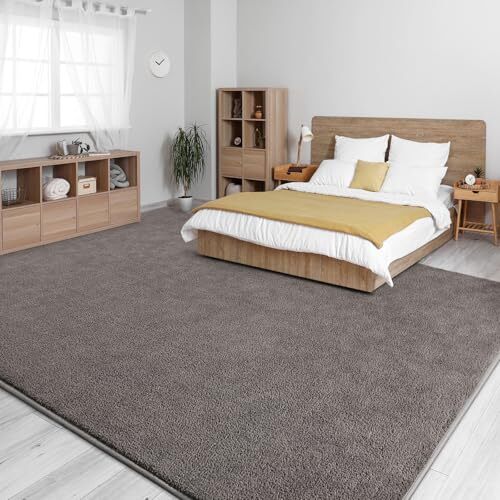 Large Area Rugs for Living Room Bedroom, Super Soft Indoor 4x6 Feet Dark Grey - Picture 3 of 7