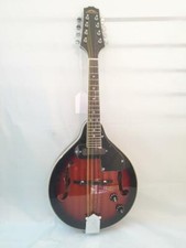 Stadium A-Style Acoustic/Electric Mandolin-Includes Setup-Case/Bag Available 