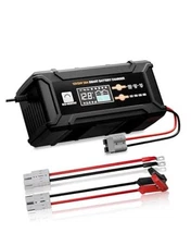ECO-Worthy 12V/24V 20A Smart Battery Charger Maintainer, Auto Voltage Detect 