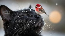 Digital Image Pic Desktop Wallpaper Background Art Sample Product Cat Bird #A593
