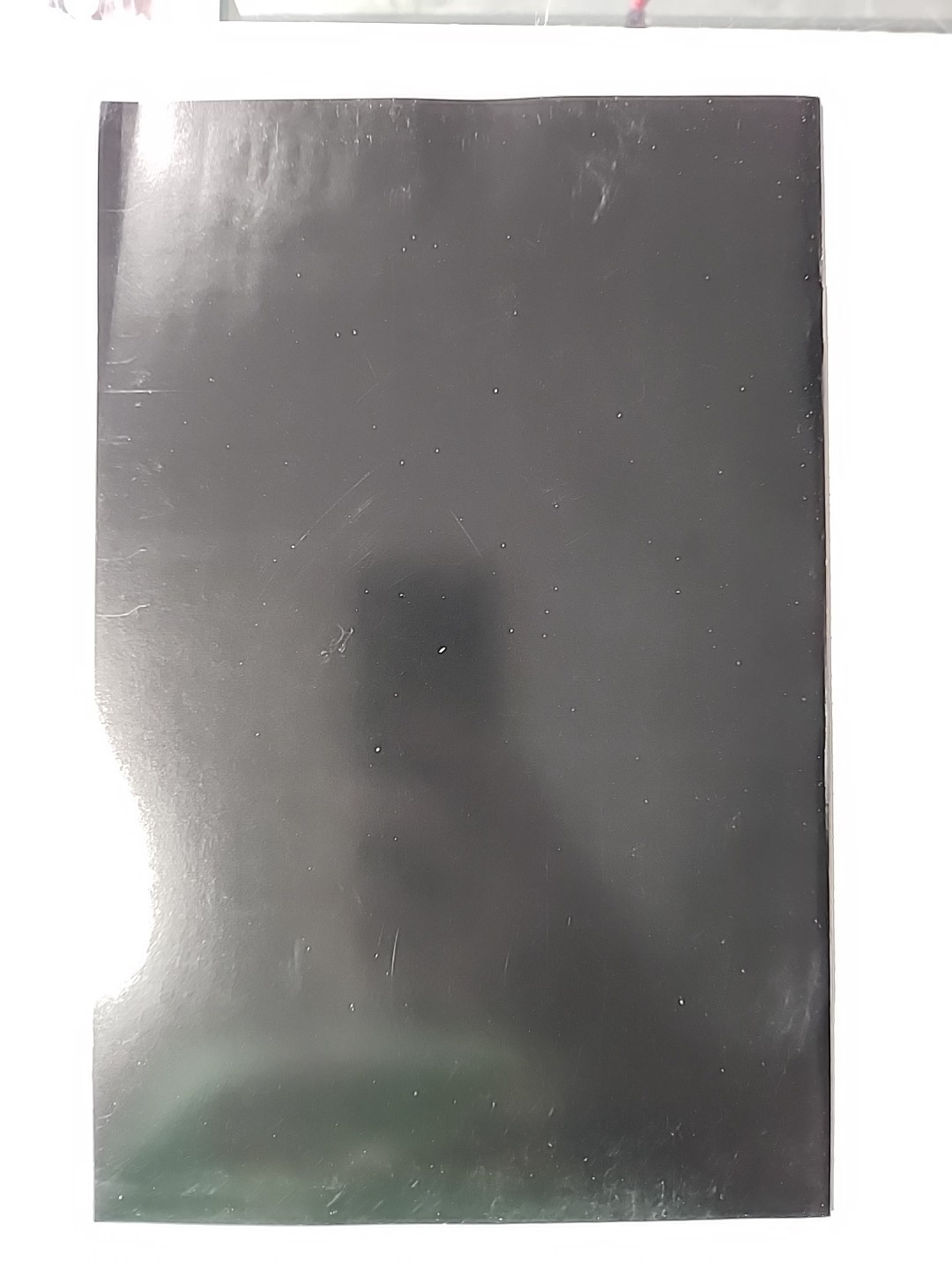 Bild 10 von 12