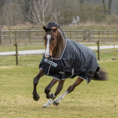 Bucas Anniversary Turnout Medium SD 150g - Black/Silver - Weidedecke