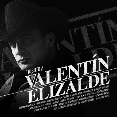 Tributo A Valentin Elizalde Audio CD NEW Various Artists
