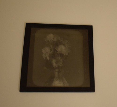 FLORES CORTADAS EN UN JARRÓN Nº2 C1910 FOTO Linterna Mágica Diapositiva ESTUDIO DE FLORES EDUARDIANAS - Imagen 2 de 3