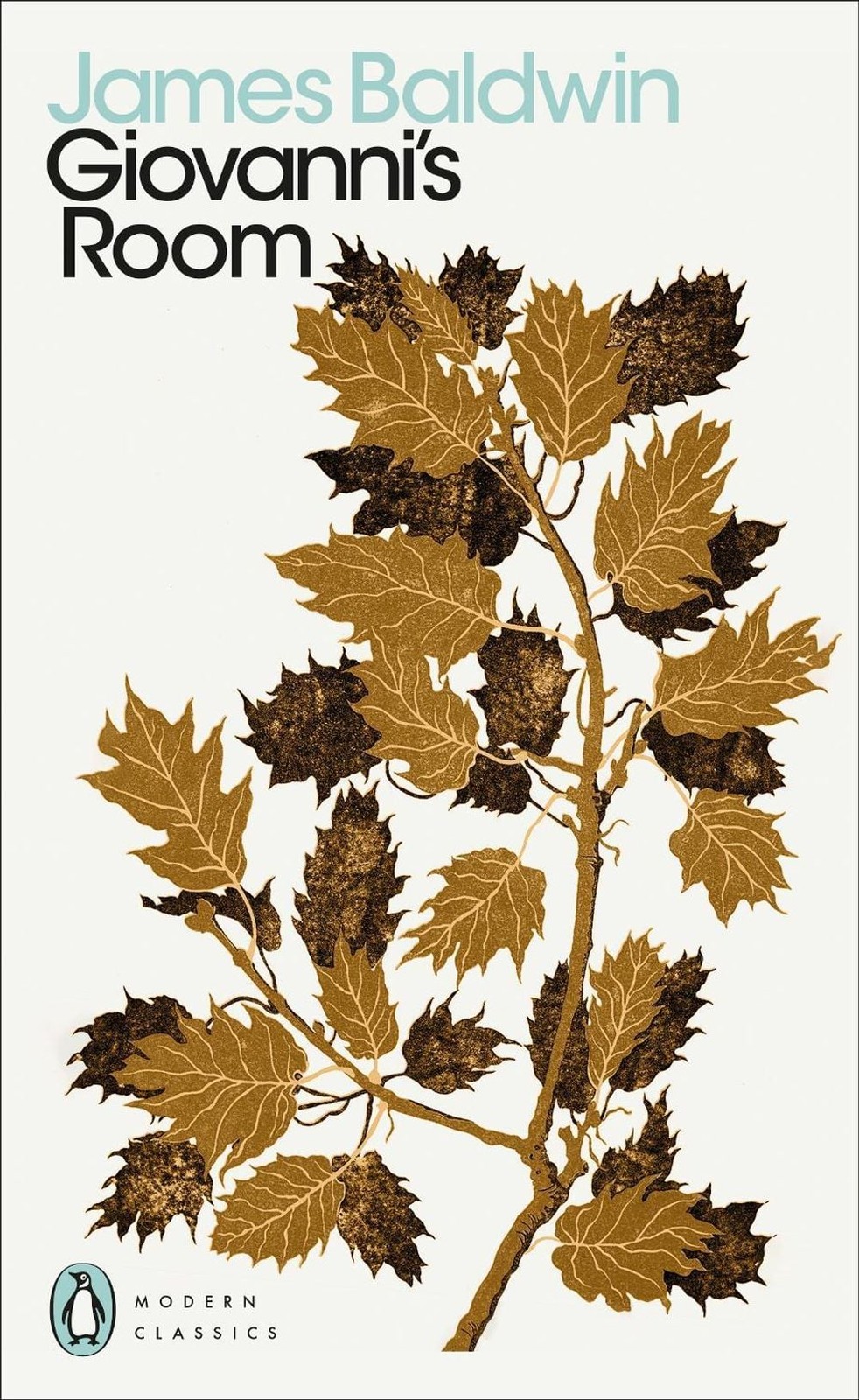 Giovanni's Room by James Baldwin (English) Paperback Book