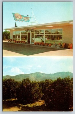 Phoenix Arizona Navarro's Citrus Groves Growers Shipper Baseline Road Postcard