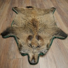 Wildschweinfell Keiler Fell Schwarzwild Sauschwarte Vorleger L 147 cm 87.6.42