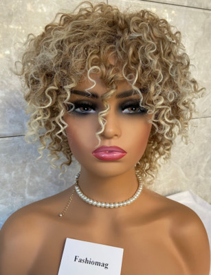 Afro Light Brownish Blonde Frosted Curly Hairstyle Synthetic Hair Wig Women Soft