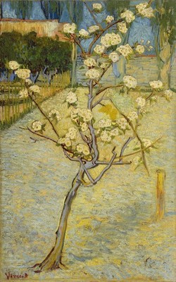 Vincent_van_Gogh_-_Bloeiend_perenboompje A1-A4 Poster Kunst Malerei Meister Fine C