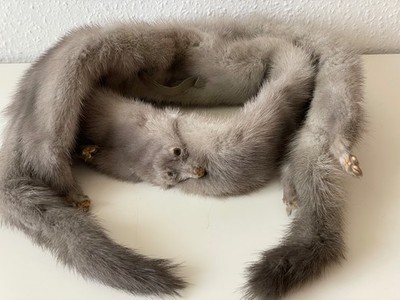 Zeig ihr wie sehr du sie liebst mit einem toten Stoat - Stola Schal