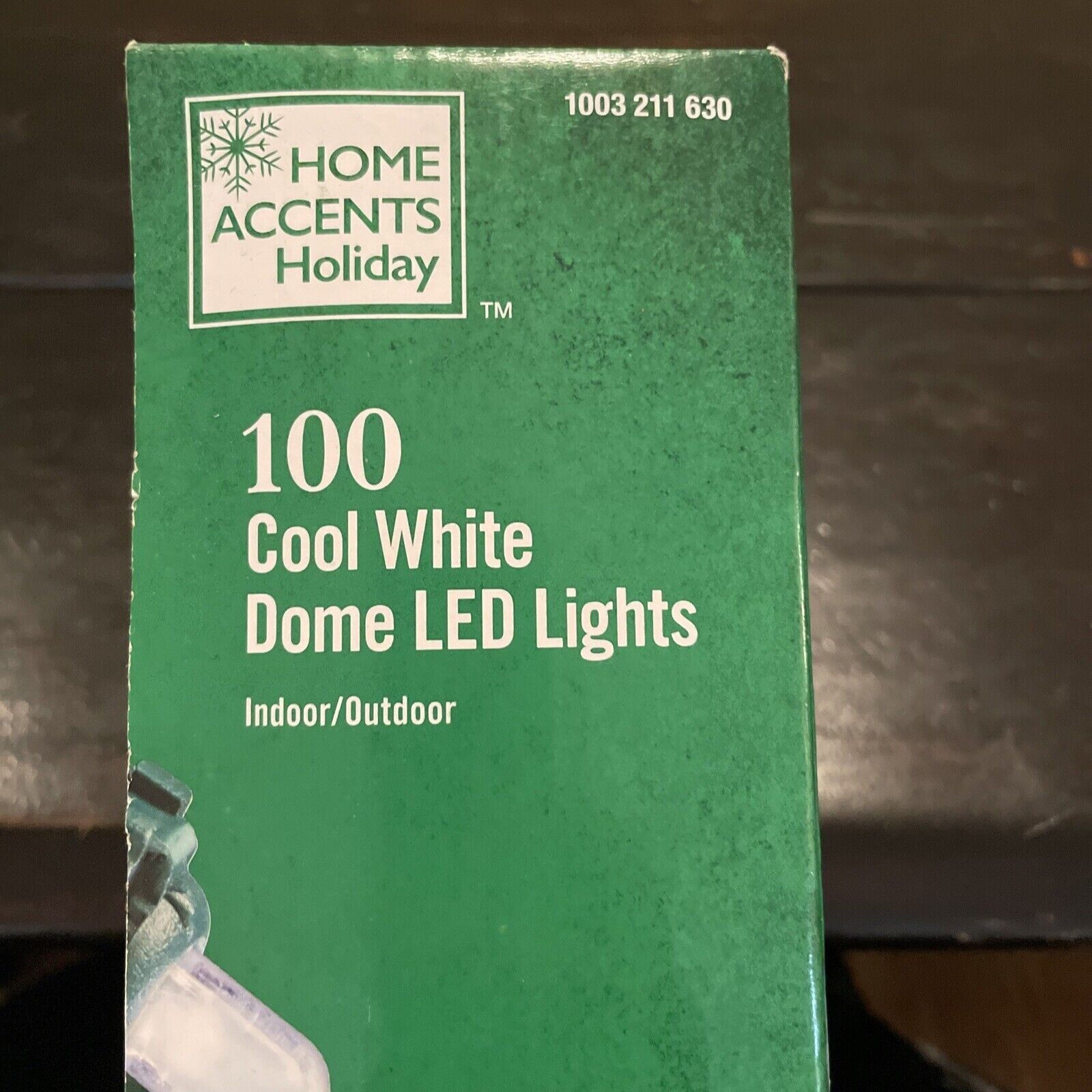 Home Accents Holiday 100 Cool White LED Dome String Lights 29 Ft