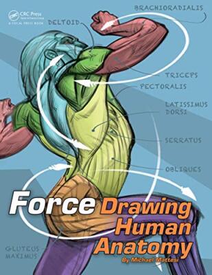 FORCE: Drawing Human Anatomy von Mike Mattesi (Taschenbuch, 2016)