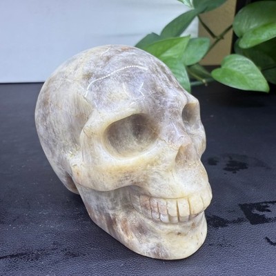 300g+ Natural Moonstone skull hand carved Quartz Crystal Reiki Healing