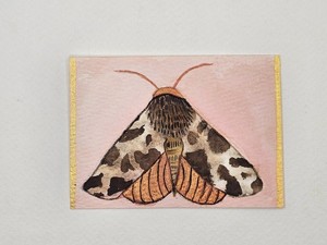 ACEO trading card, Watercolor, Insects, Tiger Moth, 3.5x2.5, luv2cre8art