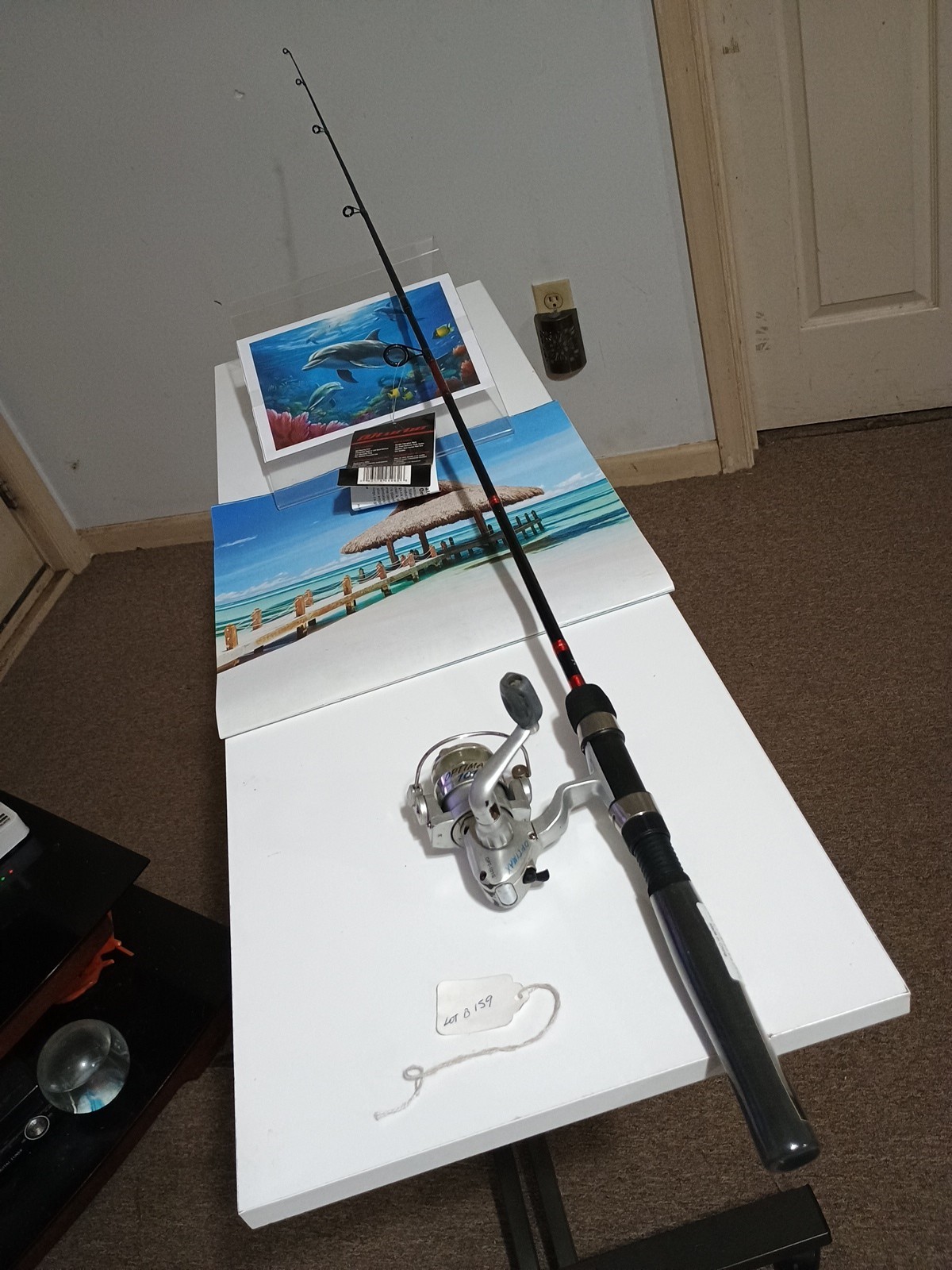 spinning fishing rod Daiwa Turbo 5' UL 2-5lb And Reel 0ptima