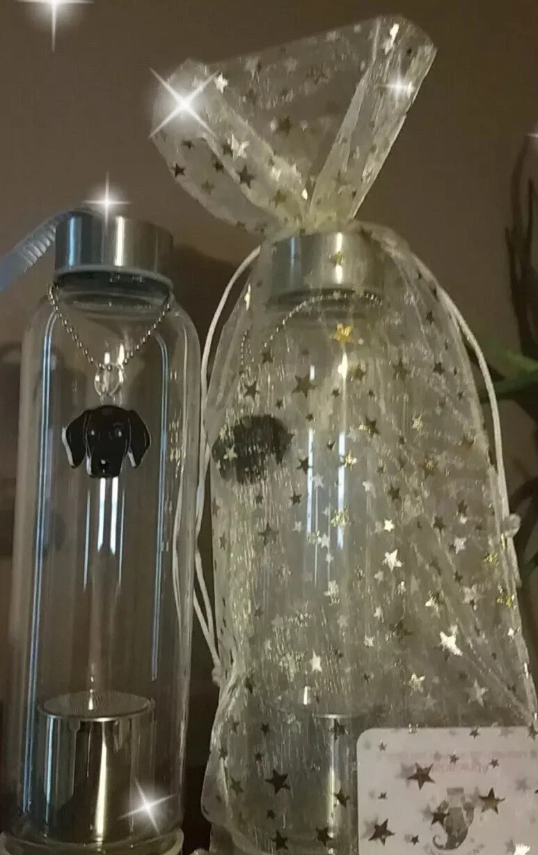 NWT Glass Drinking Water Bottle with Infuser Basket and Dog Keychain